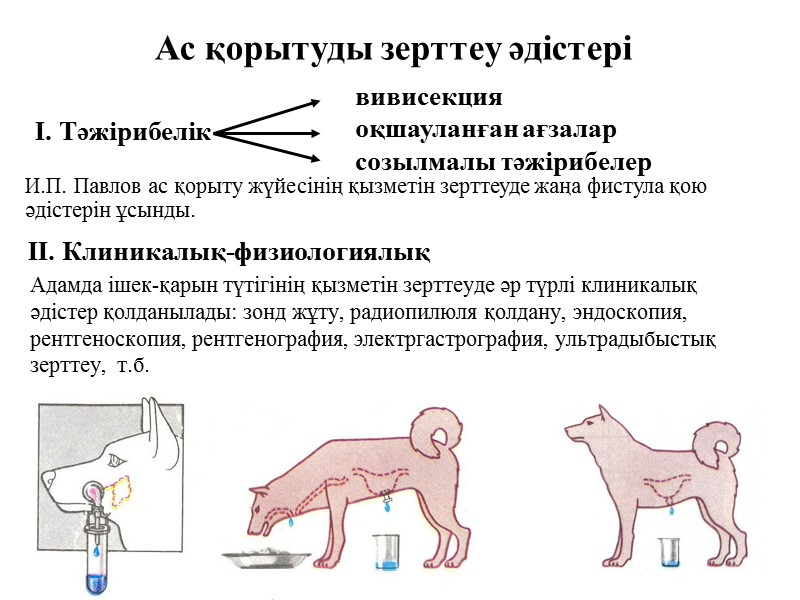 Ас қорытуды зерттеу әдістері Адамда ішек-қарын түтігінің қызметін зерттеуде әр түрлі клиникалық әдістер қолданылады: